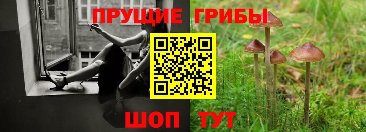 где можно купить   Вход с VPN  Мариинск  Псилоцибиновые грибы Psilocybine cubensis 